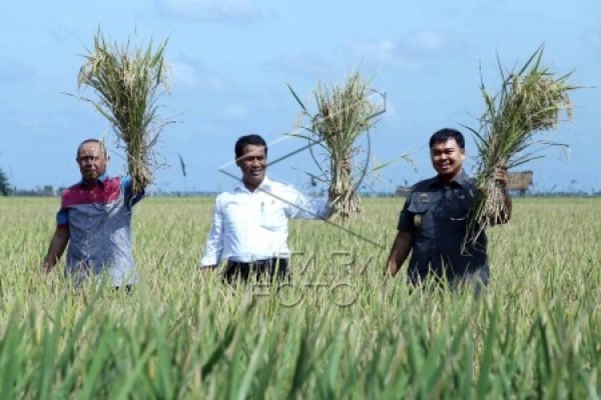 Mentan Tinjau Irigasi Pertanian