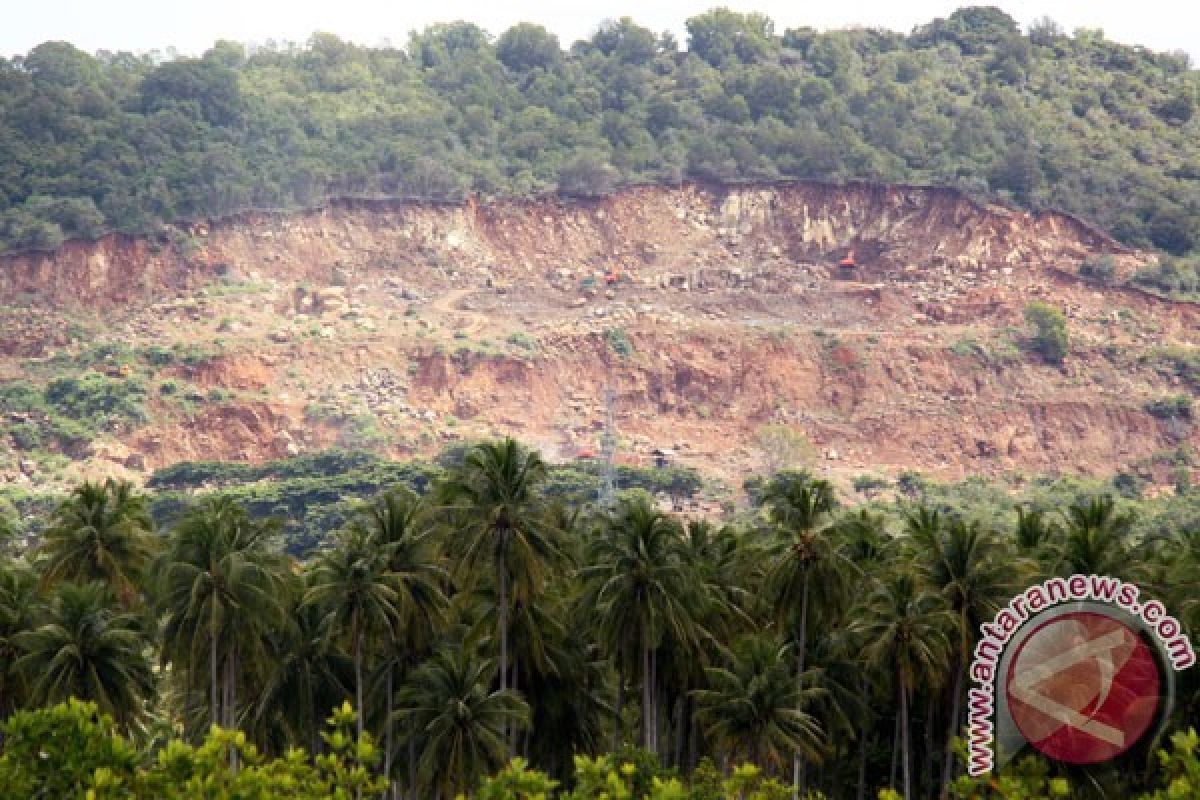 Mafia SDA-kehutanan rugikan negara Rp201 triliun