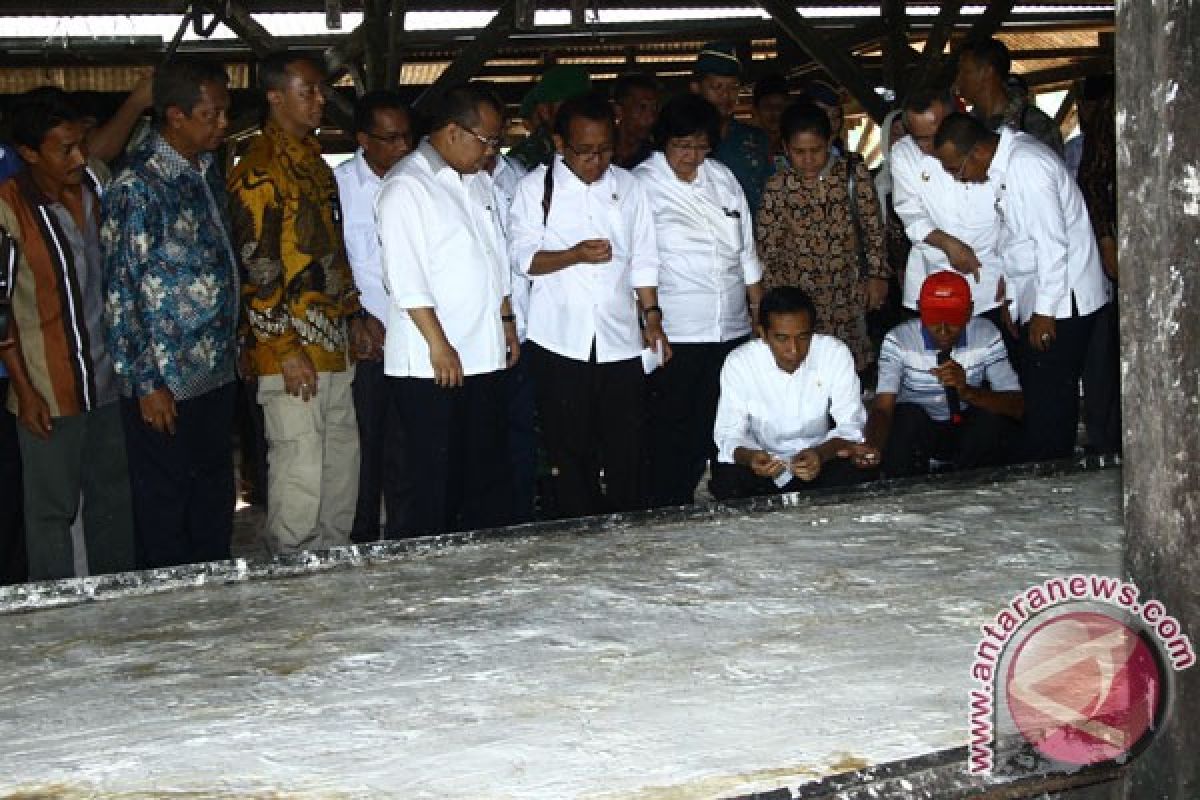 Gerakan Riau makan sagu hemat 8.000 ton beras