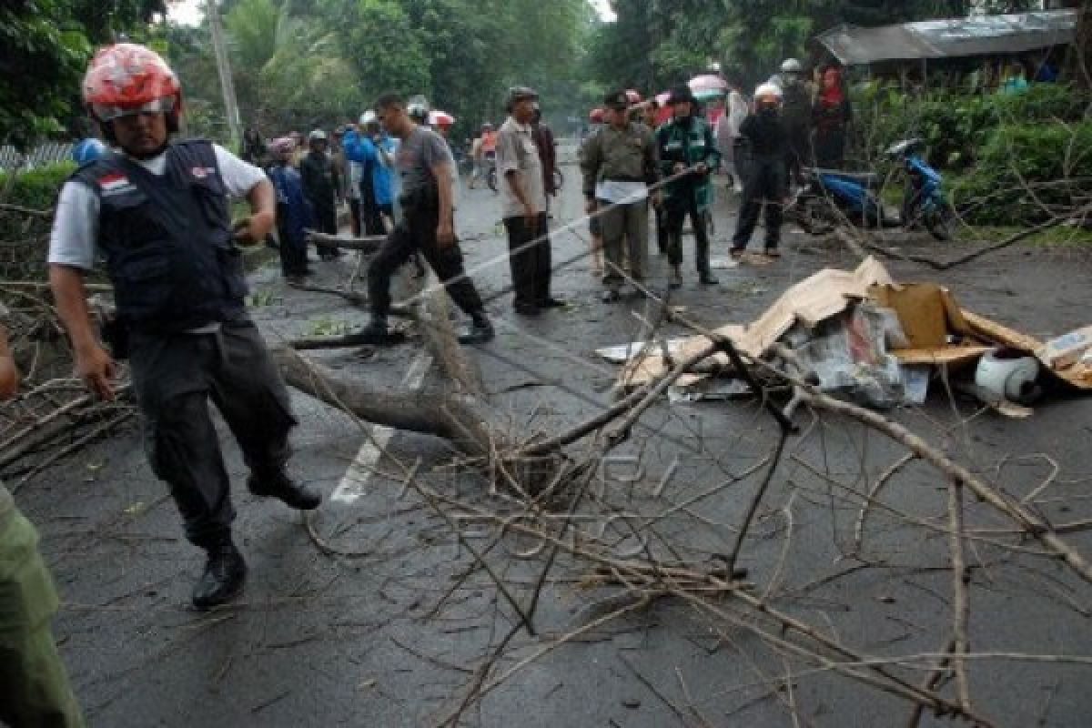 Pengendara sepeda motor tewas tertimpa pohon