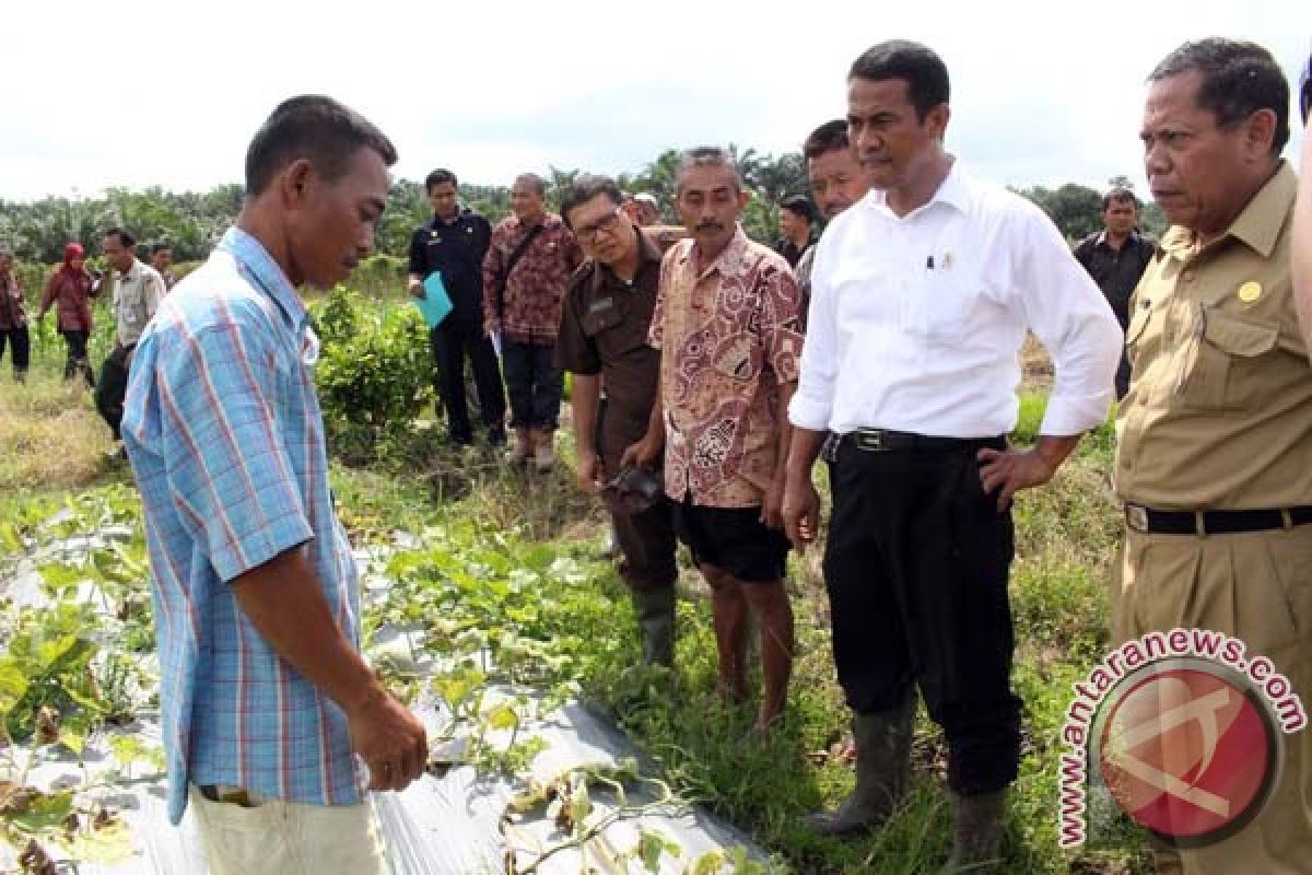 Mentan janji perjuangkan legalitas lahan pertanian Kotim