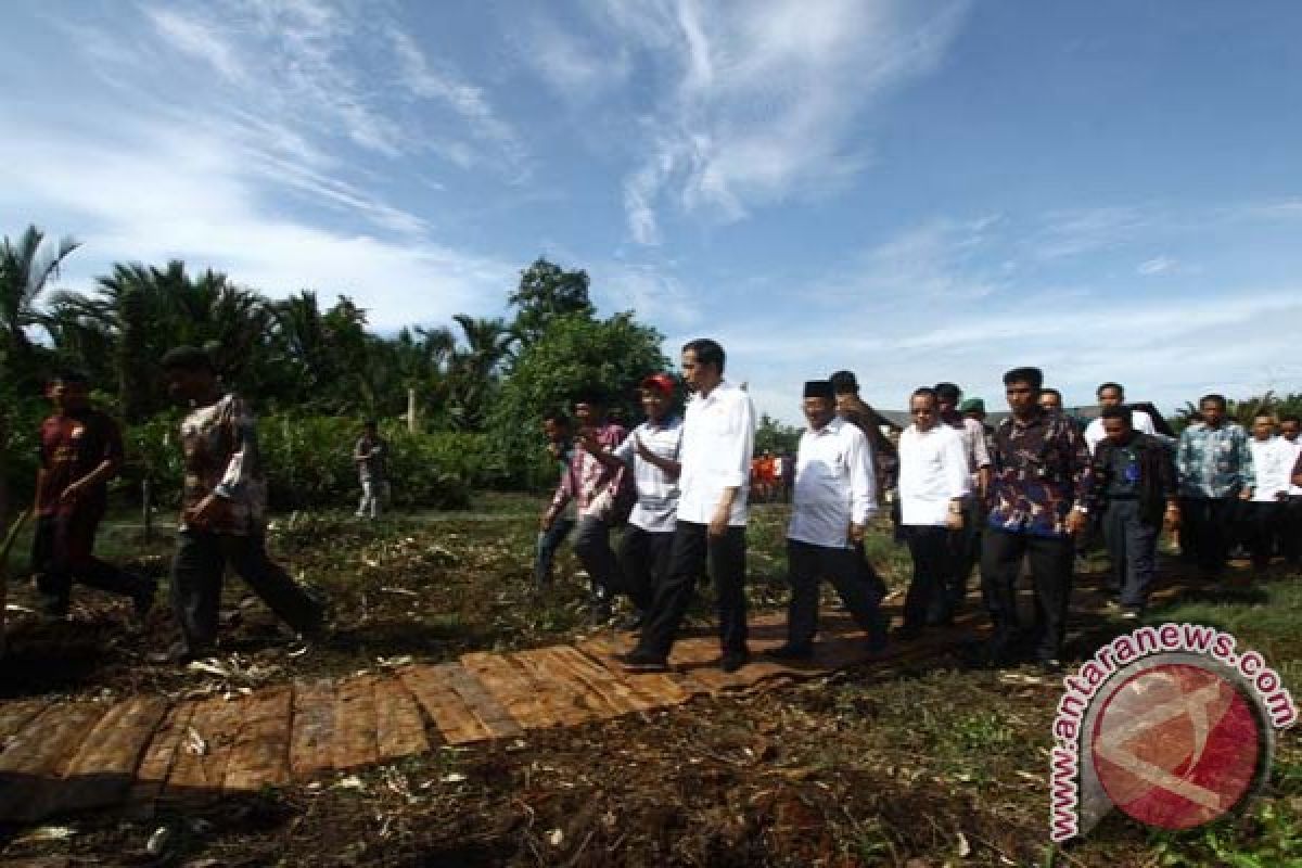 Masyarakat Sorong diminta lindungi hutan sagu