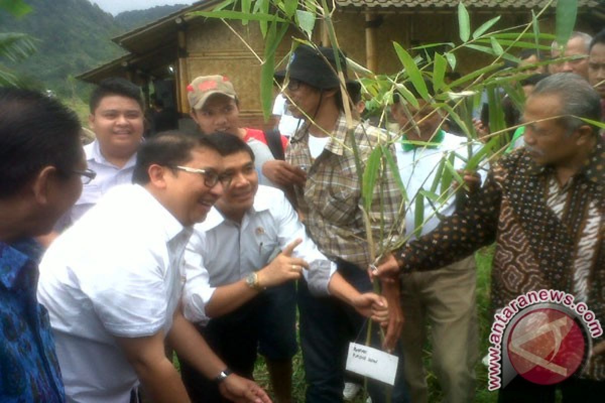 Kemen LH-Hut luncurkan Kampung Bambu terpadu