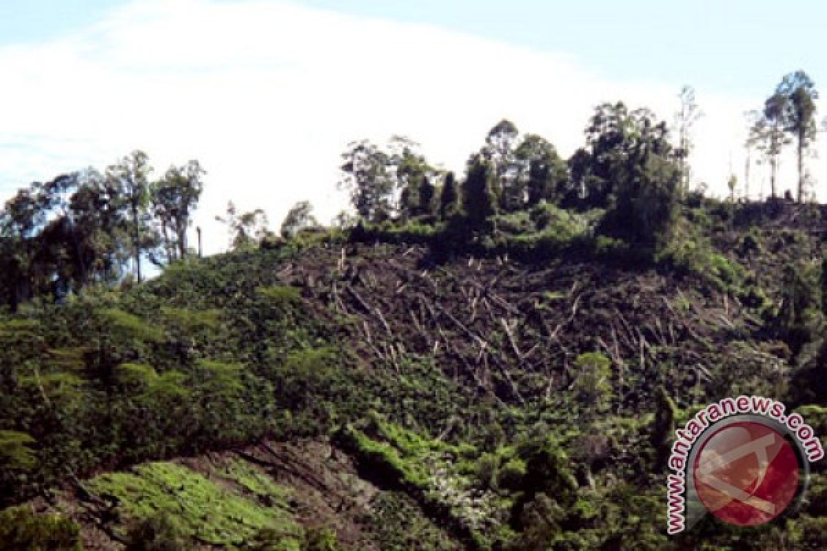 5.000 Hektare Kawasan Konservasi di NTB Rusak