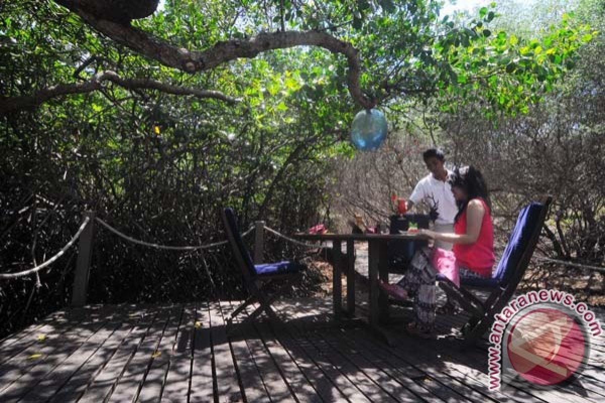 30 persen hutan mangrove Indonesia rusak