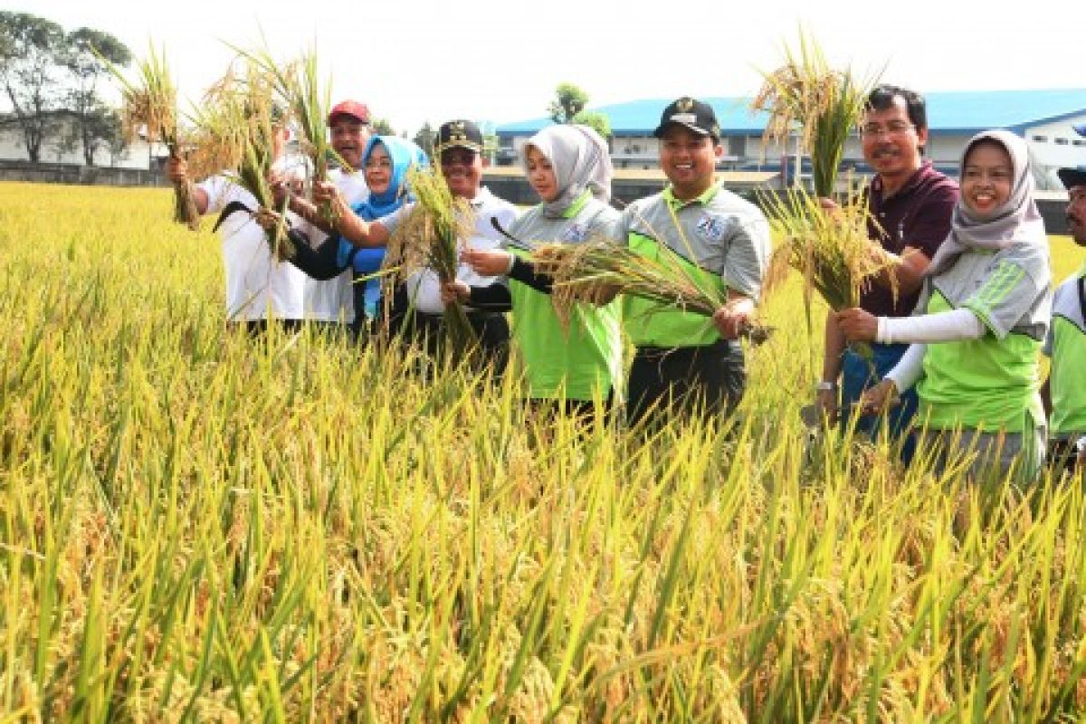 Kecamatan Batu Ceper Pilot Project Tangerang Berkebun