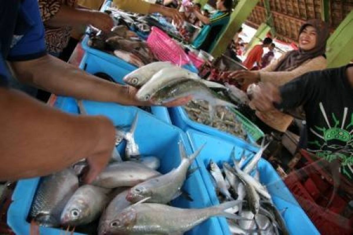 DKP dorong kelompok pengolah ikan urus perizinan