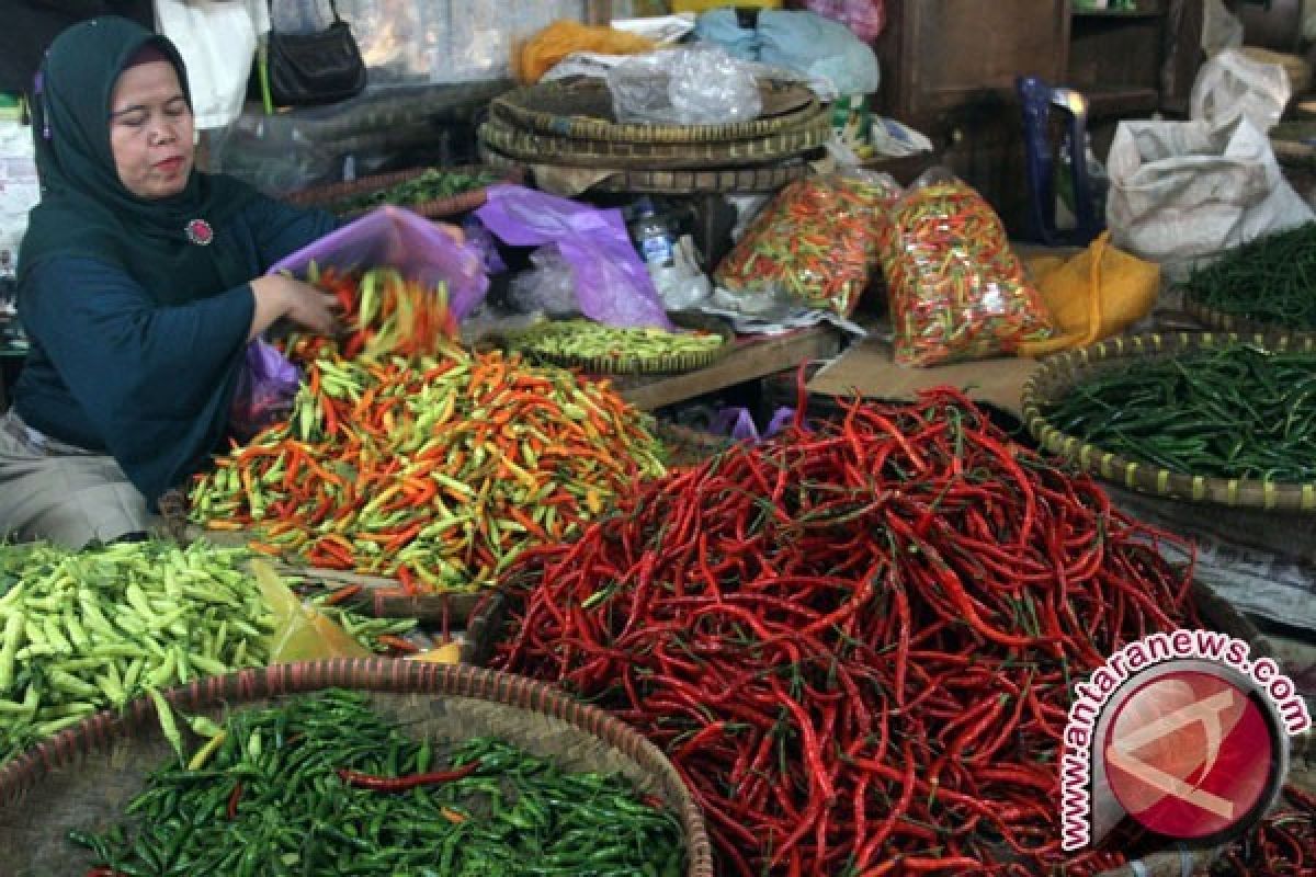 Harga Cabai di Pasar Tradisional Pangkalpinang Kembali Melonjak