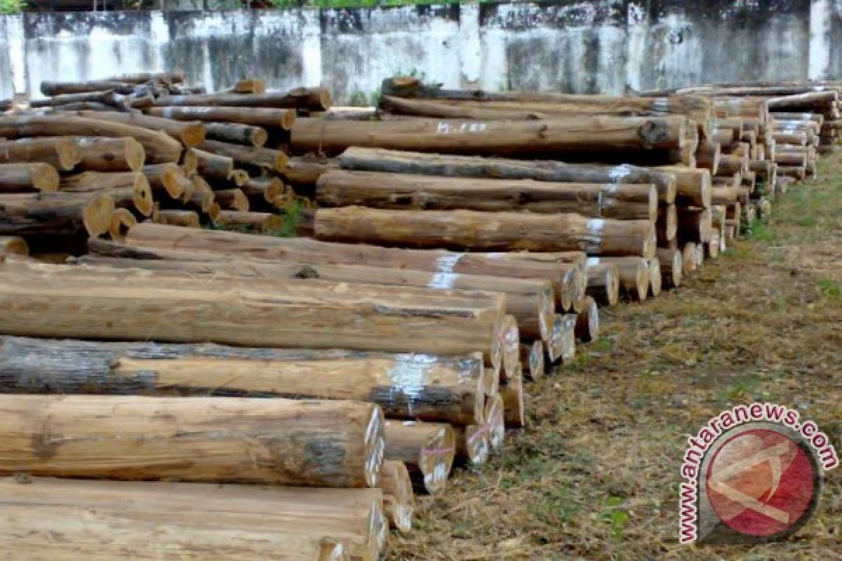 Polres Tahan Anggota Brimob Terlibat Penyelundupan Kayu