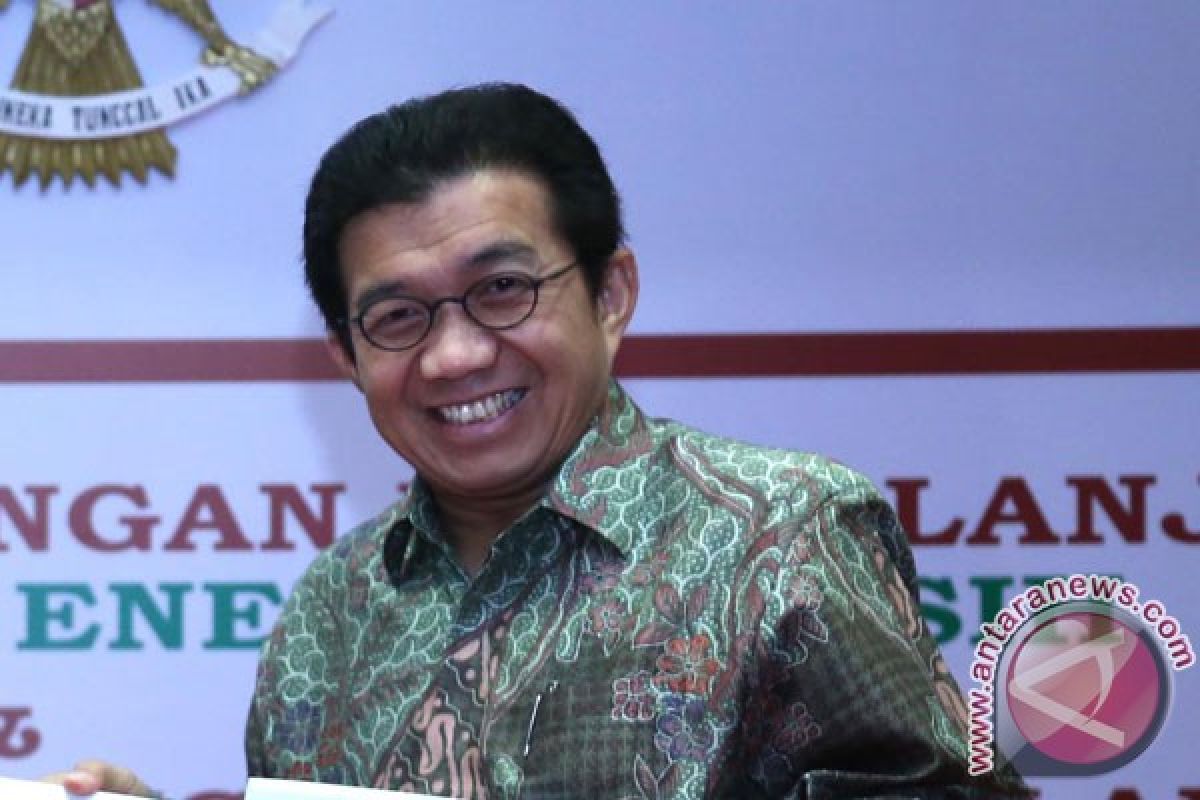 ISEI temui Presiden Jokowi