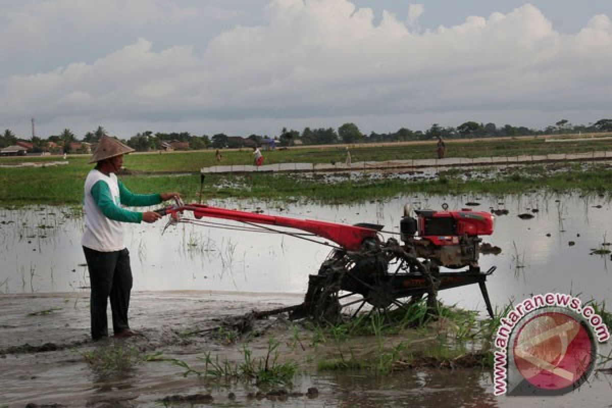 Petani Lebak memperoleh 55 traktor dari kementan