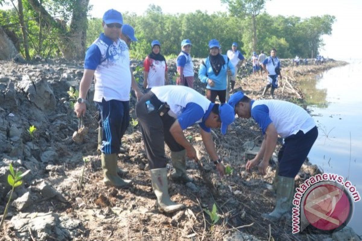 Penanaman Mangrove di Pesisir Pantai Mempawah Cegah Bencana