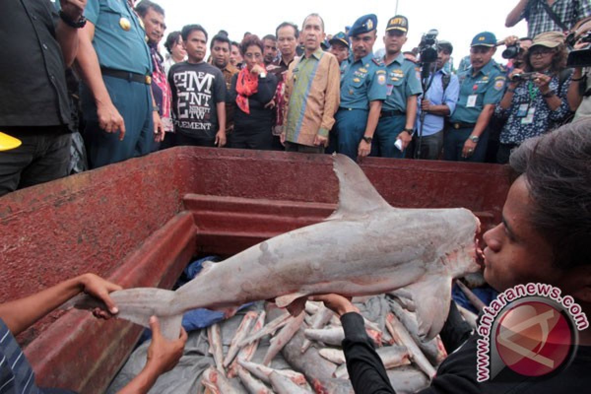 Susi targetkan laut Indonesia terbebas dari penjarahan