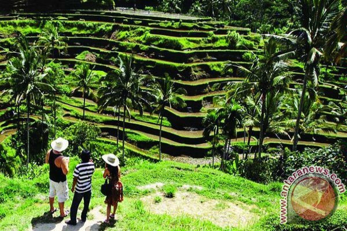 Airnyatoh Pelopor Desa Wisata Bahari Bangka Barat