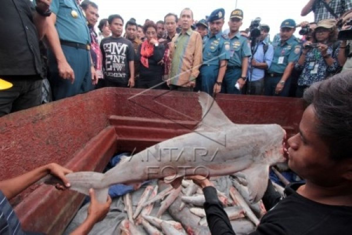 Menteri Susi Kembali Tegaskan Moratorium Kapal Ikan