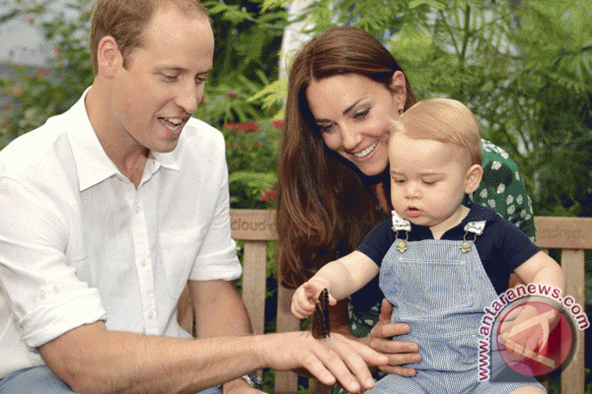 Kate dan William pamerkan foto terbaru Pangeran George