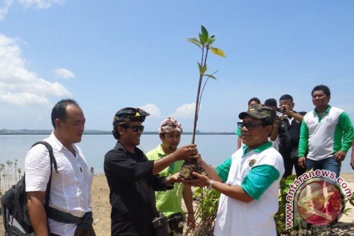 Masyarakat Tanam Bakau Hijaukan Teluk Benoa 