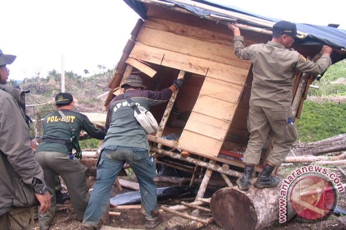 Dalam setahun, 200 Ha hutan TNKS habis dibabat perambah