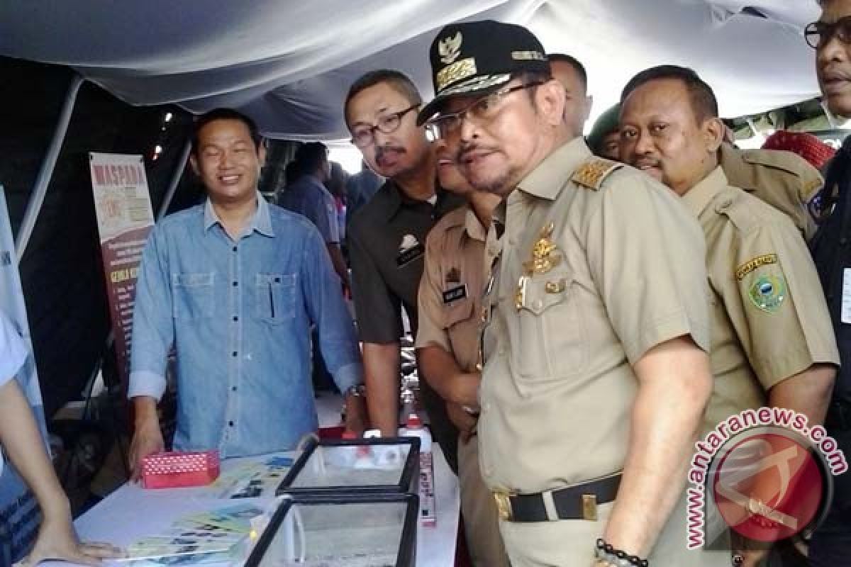 Gubernur minta Dekranasda tingkatan daya saing pengrajin