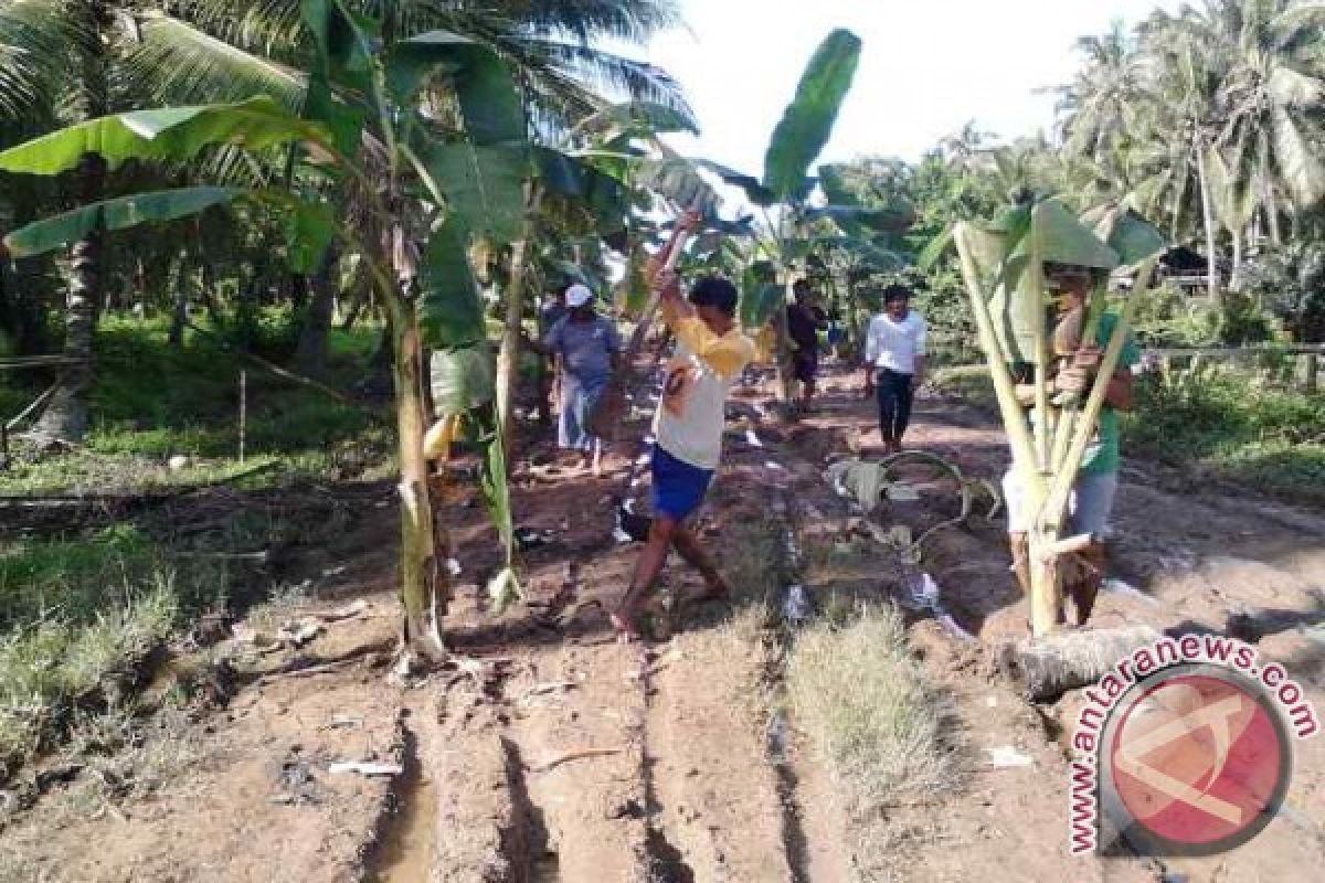 Warga Blokir dan Tanam Pisang di Jalan