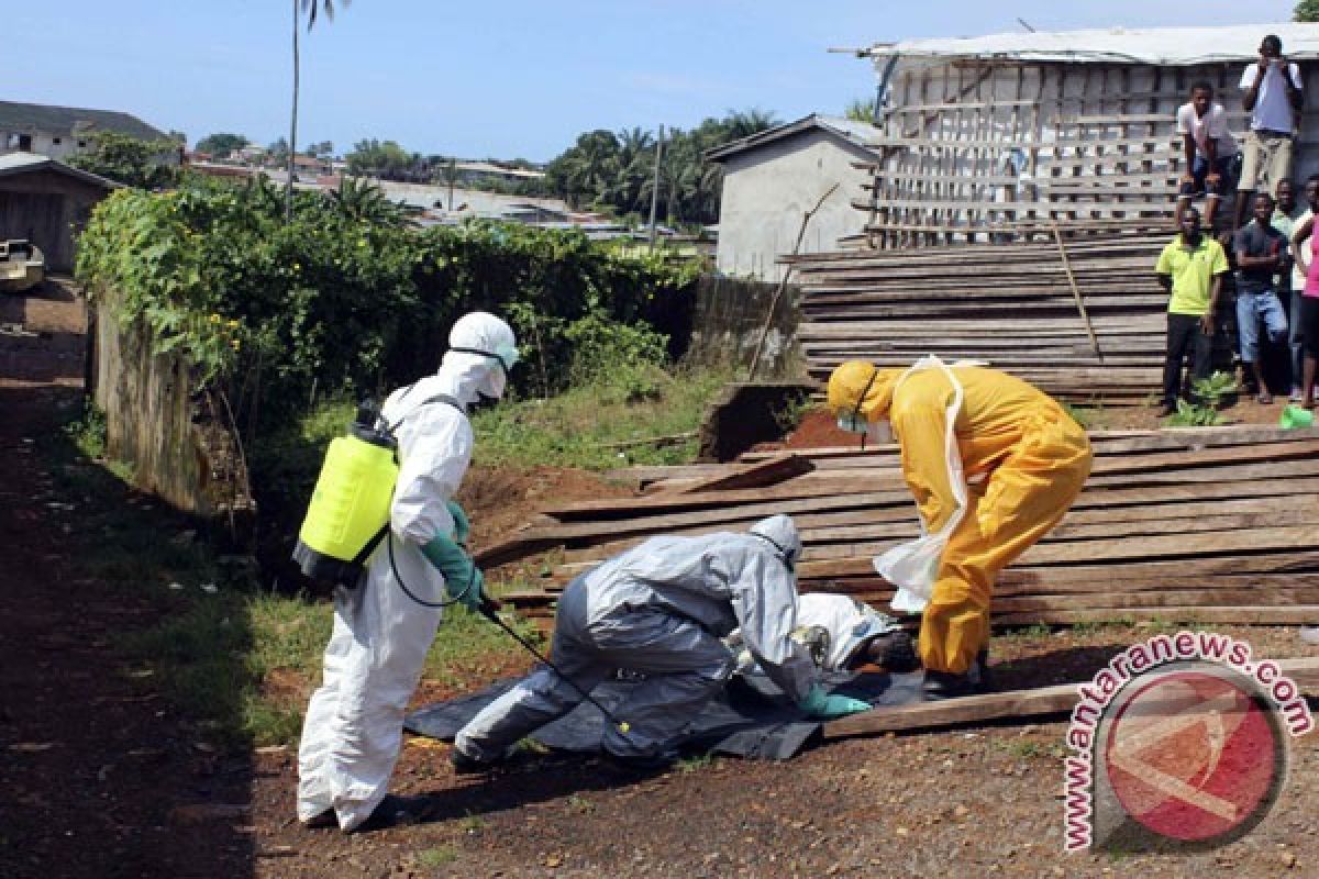 Satu Juta Orang Kelaparan Akibat Ebola di Afrika