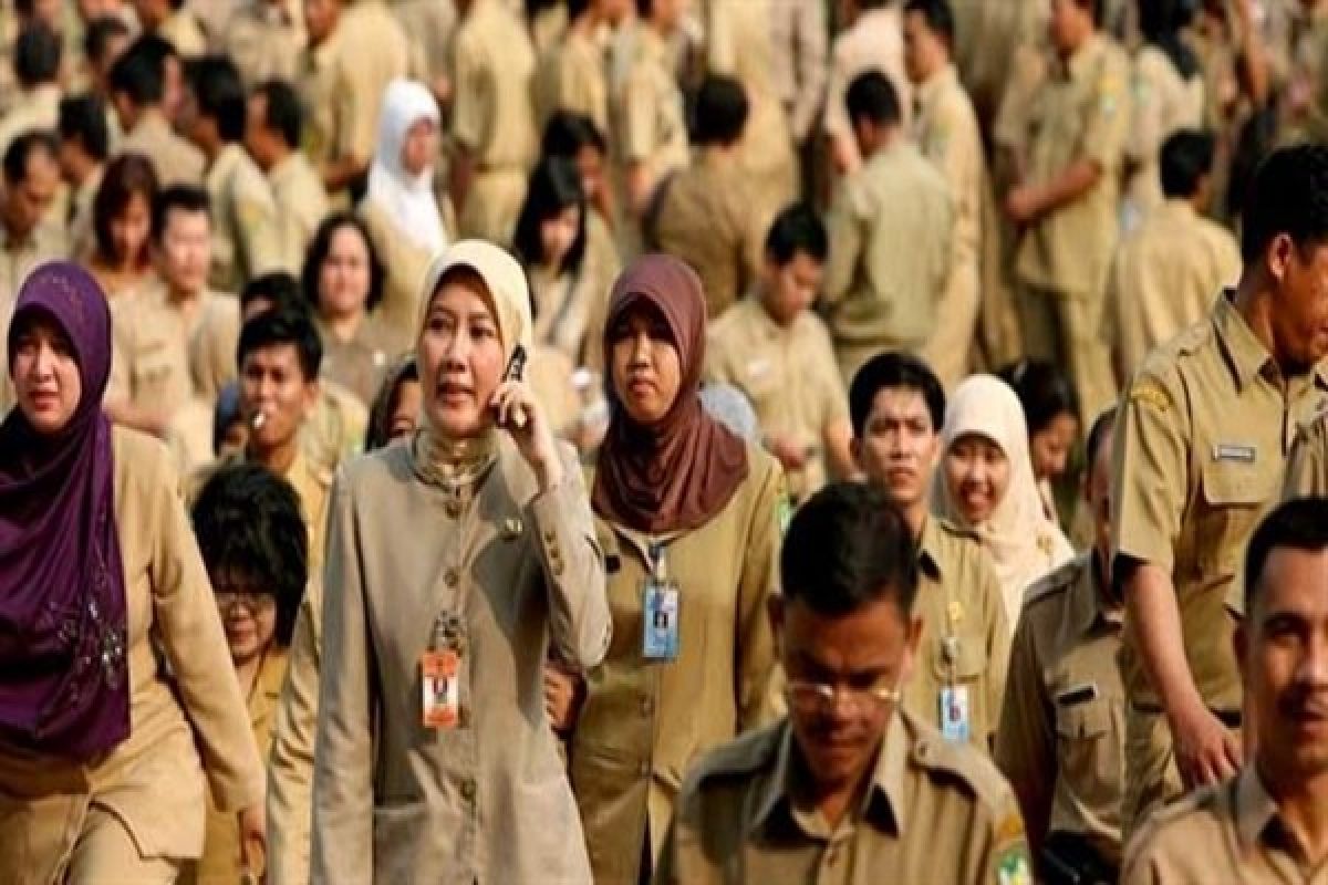 Permohonan persetujuan NIP CPNS Yogyakarta turun