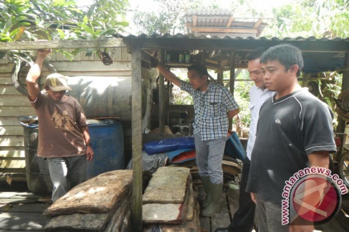 Petani Ketapang Jalin Kerja Sama dengan Pabrik Karet  