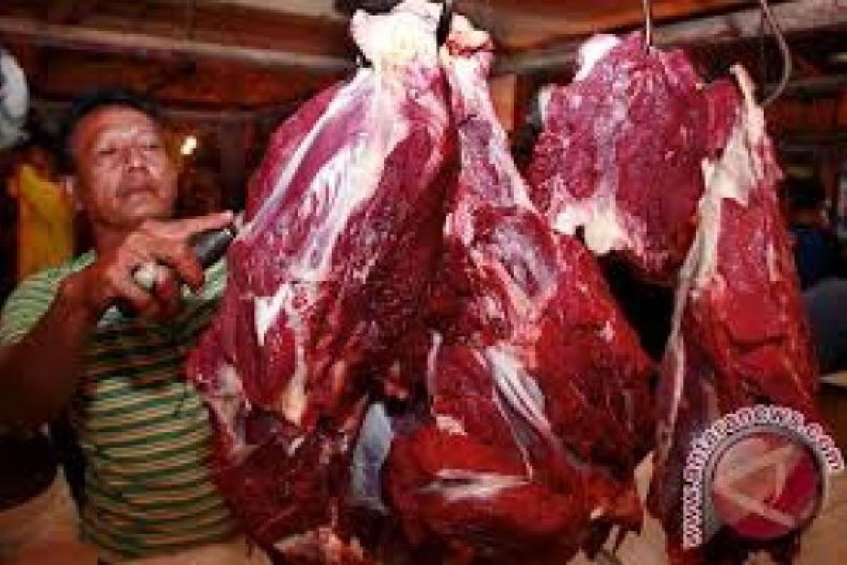  Riau Konsumsi  11 Ton  Daging Beku India