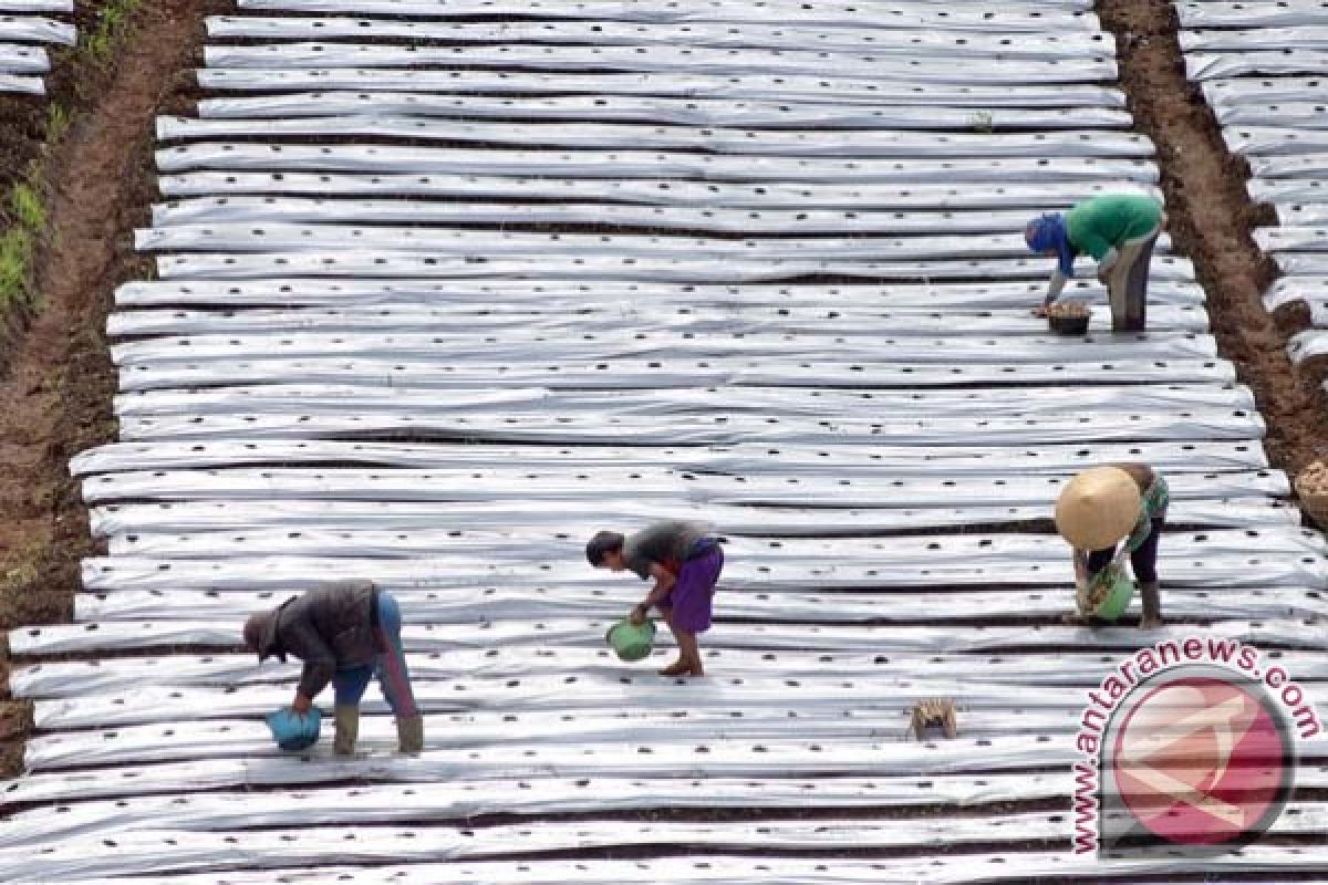 "Ketimpangan penguasaan lahan hambat pembangunan pedesaan"