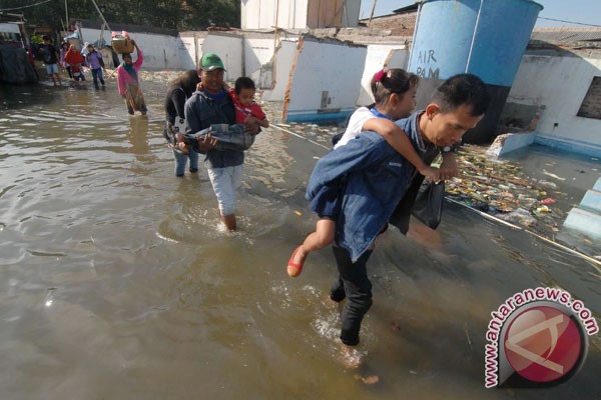 Banjir rob tiga meter, ombak besar robohkan rumah warga Cemarajaya, Karawang