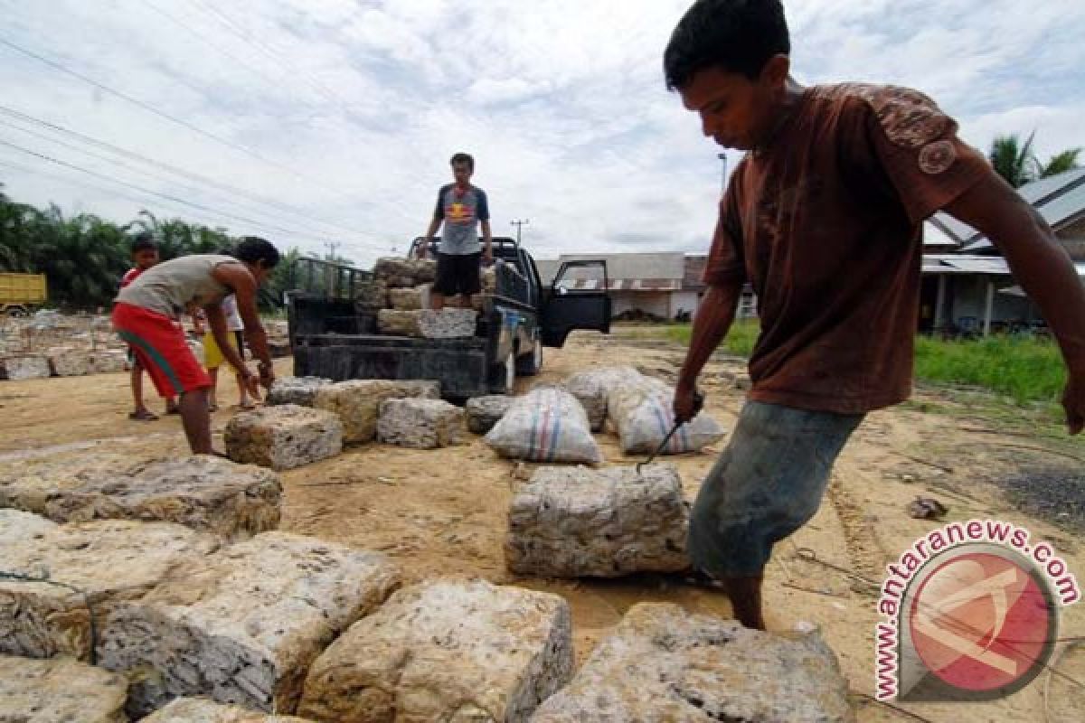 Petani terpukul harga karet pedalaman Barito anjlok