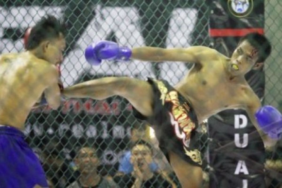 60 "Fighter" Berlaga di Lindu Aji Championship 2014