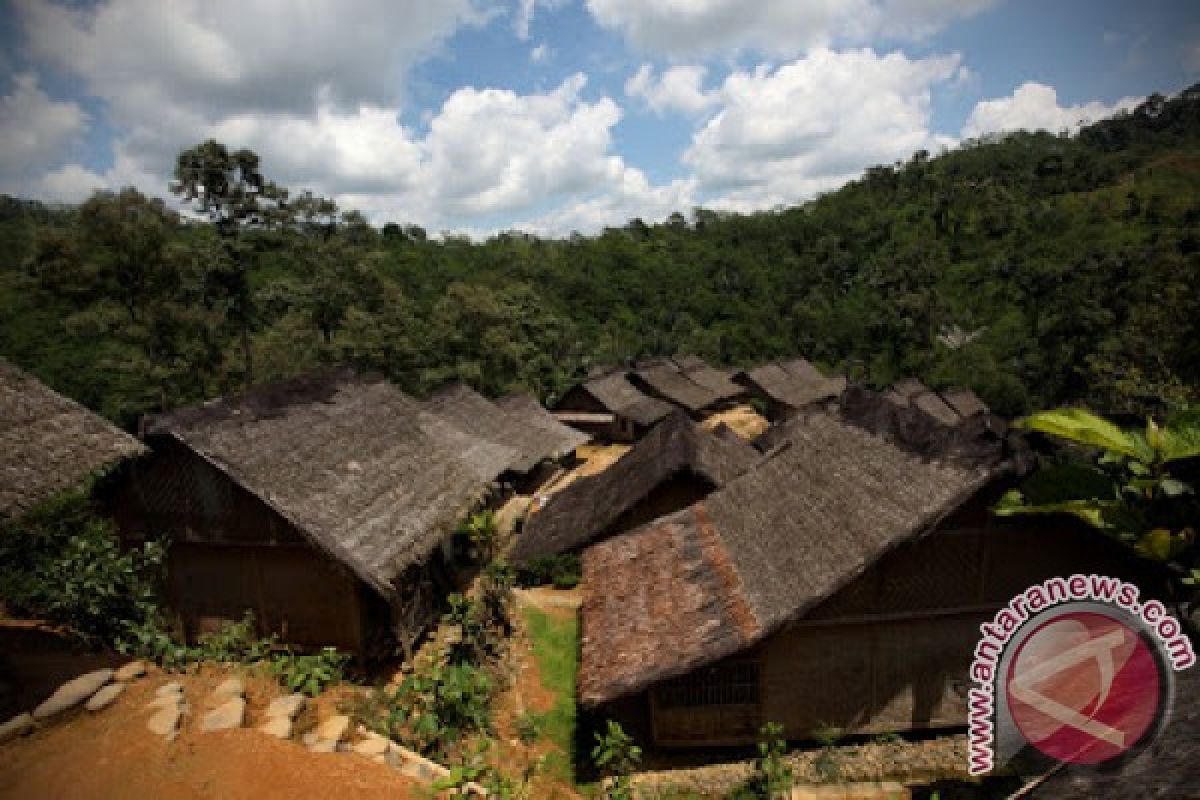 126.846 Rumah Tangga Tinggal Di Kawasan Hutan