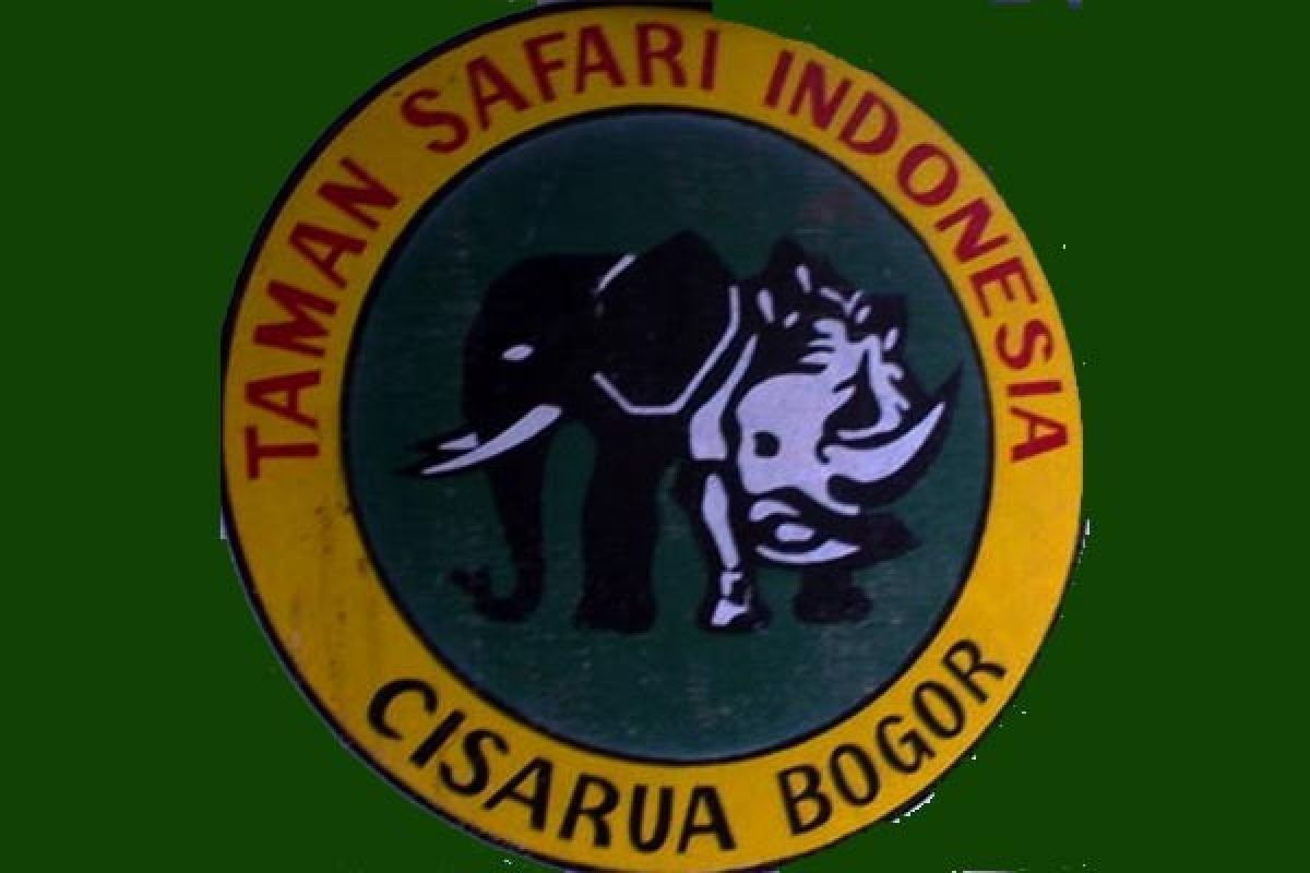 Pengunjung Taman Safari Indonesia capai 7.000 orang