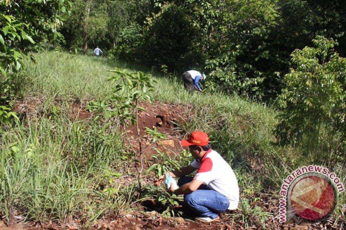 PDAM Bandarmasih Planted 1,100 Trees in Tahura