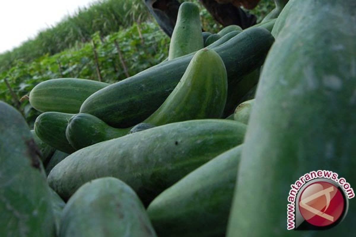 Empat Makanan Agar Terlihat Lebih Muda