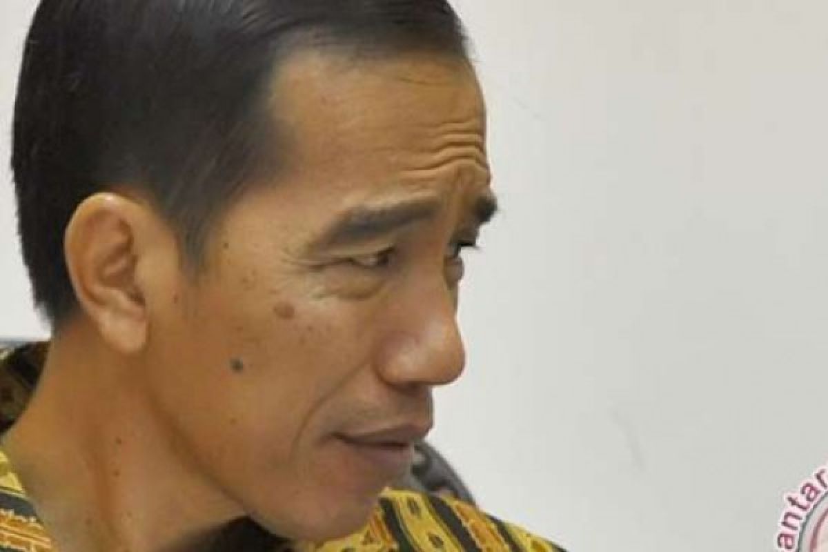 Jokowi Akan Tangani Konektivitas Indonesia Timur