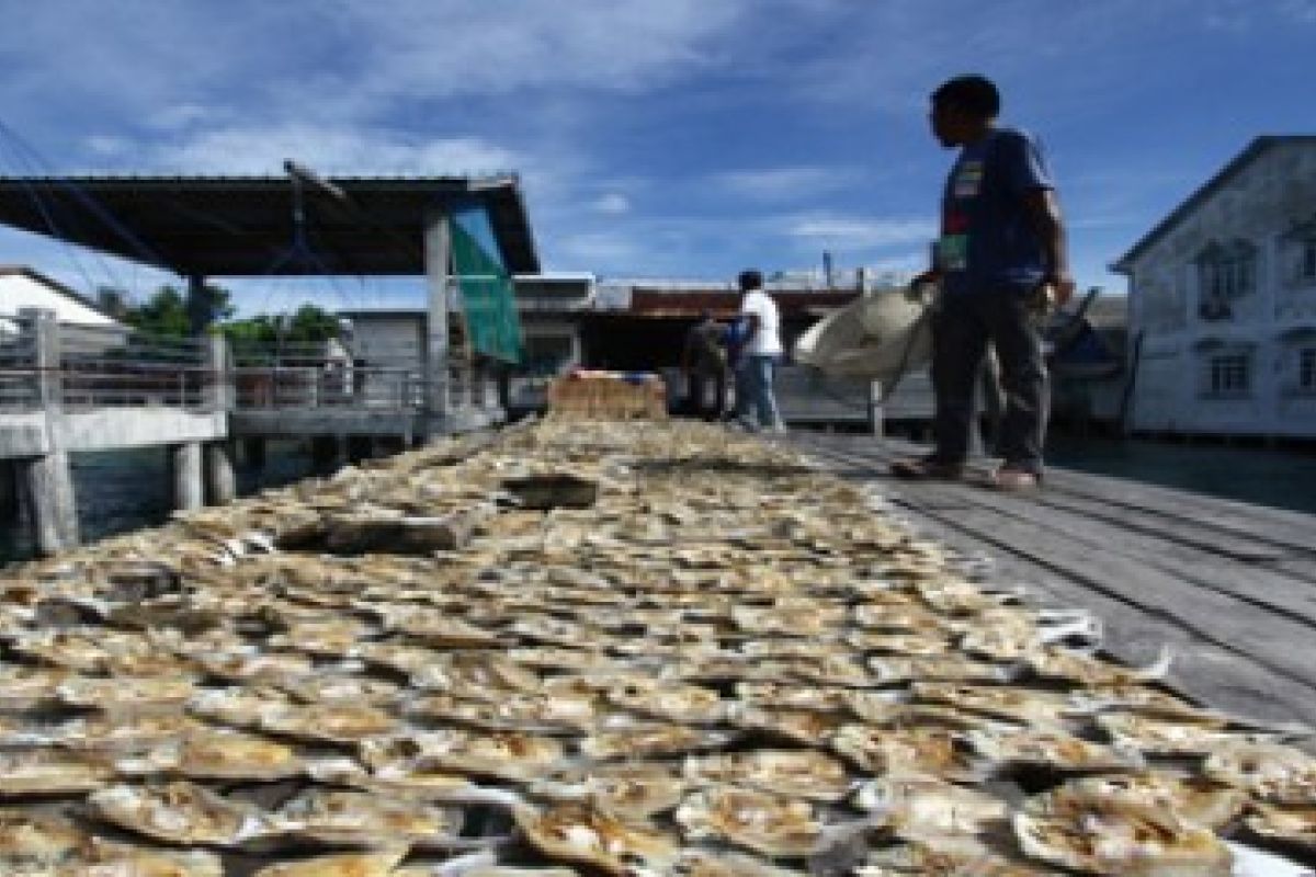 Produksi Ikan Asin Terkendala Cuaca/Joko Sulistyo