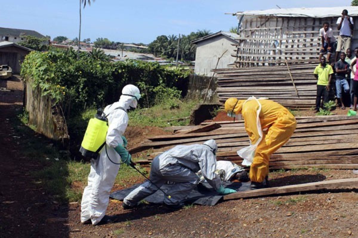 Pemerintah Sierra Leone aktifkan tanggap darurat menyusul kasus Ebola