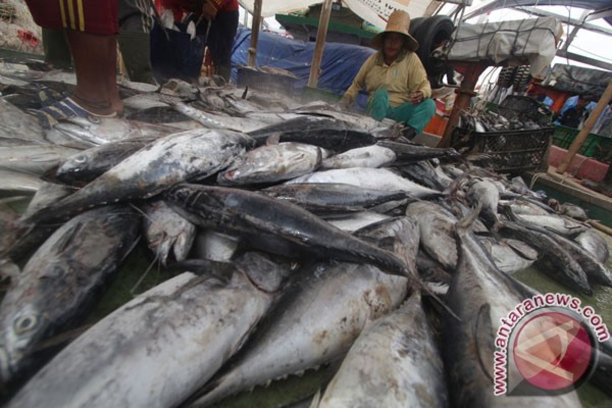 Peran strategis Indonesia terancam pencurian ikan