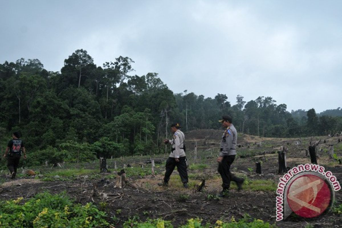 BKPH Singkil kewalahan tangani pembalakan liar