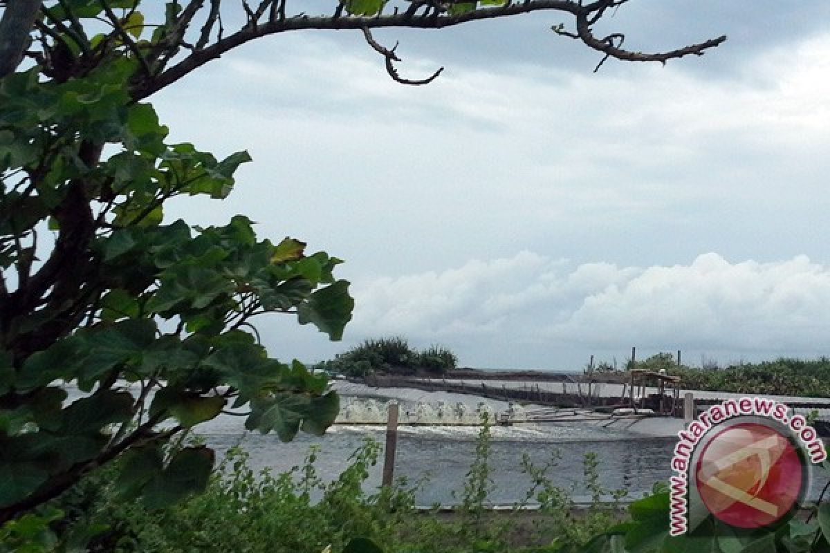 Petambak udang selatan NYIA diharapkan mengosongkan lahan