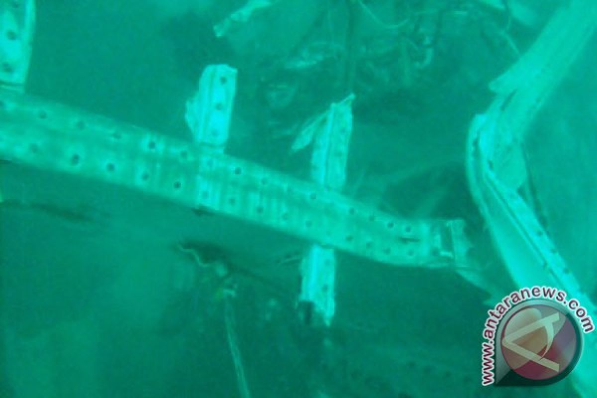 SAR team detects AirAsia QZ8501 aircraft`s tail