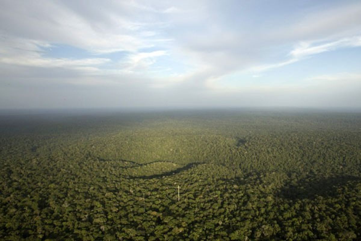 Kebakaran hutan Brasil makin tidak terkendali