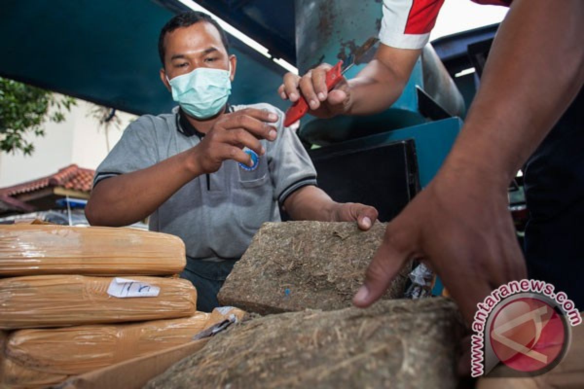 BNN setujui badan narkotika perbatasan RI-Timor Leste