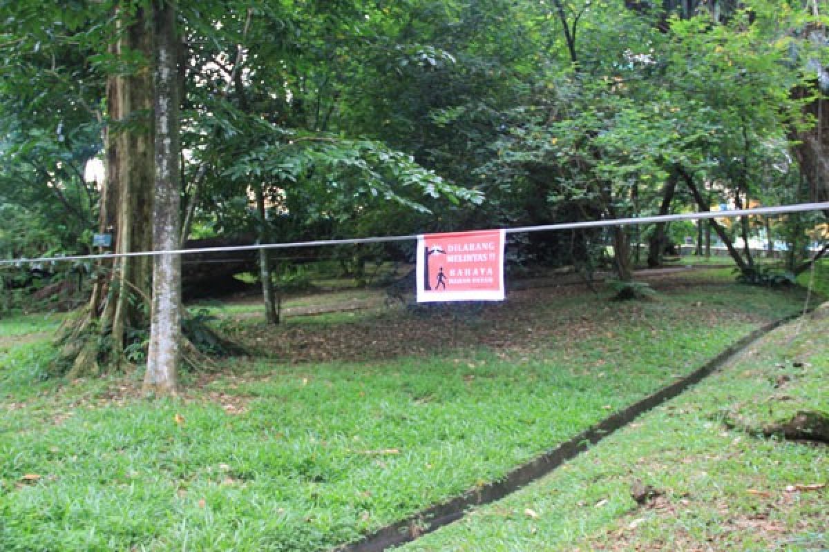 Kebun Raya Bogor Jadi Kantong Keragaman Hayati