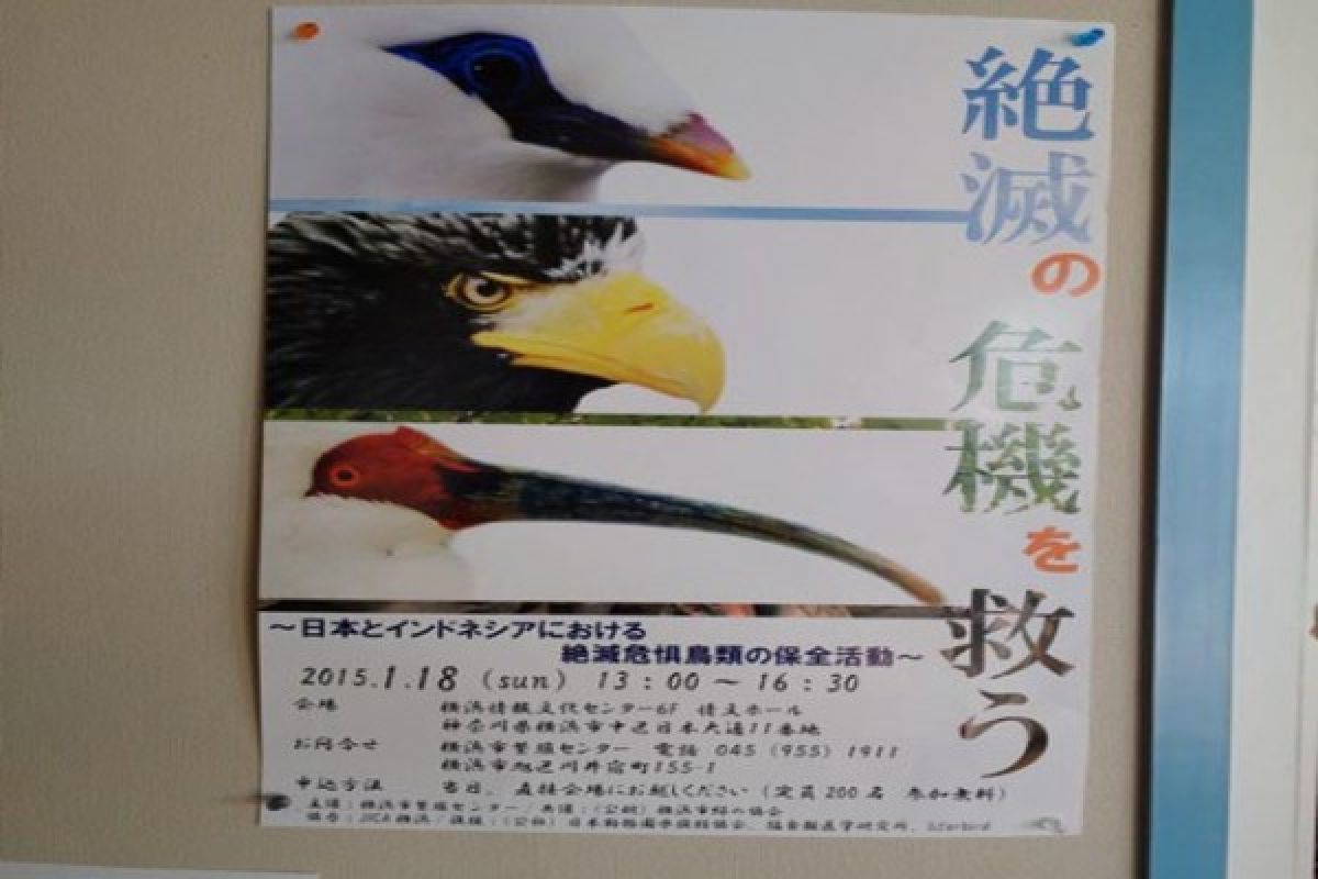 Indonesia diundang pada simposium burung langka Asia