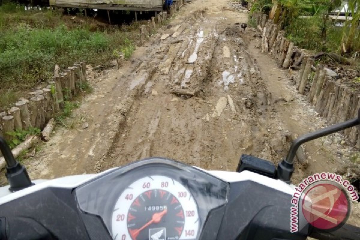 Perbaikan Jalan Sungai Gampa Terkendala RTH