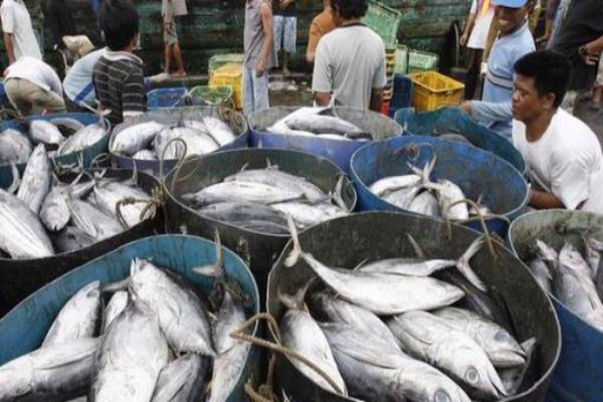 Cuaca  buruk pengaruhi tangkapan ikan di Jayapura