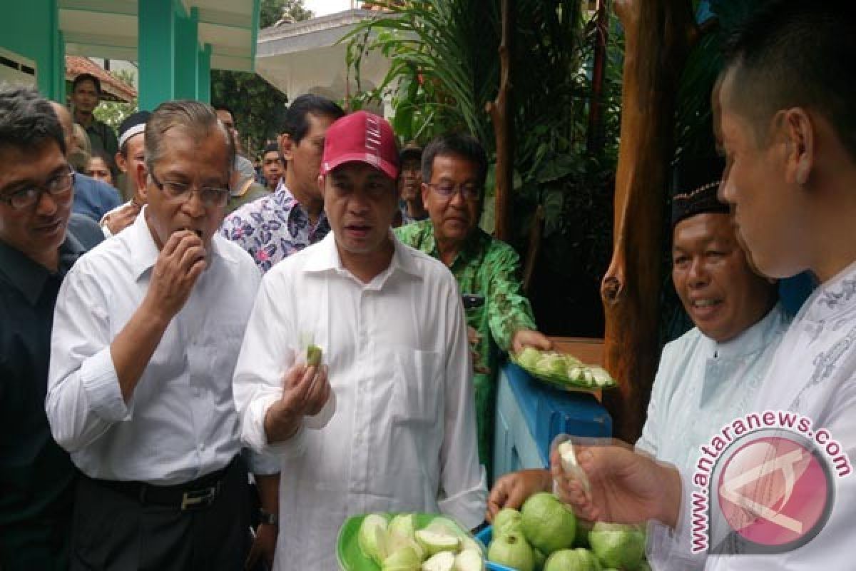 Menteri Desa kunjungi perkebunan jambu kristal Bogor